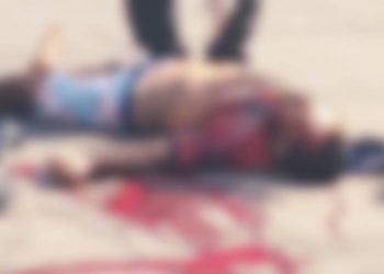 Imagem: Divulgação