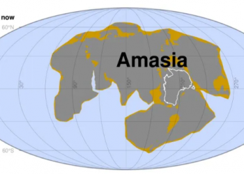 Possível configuração do supercontinente Amásia daqui a 280 milhões de anos (Foto: Curtin University)