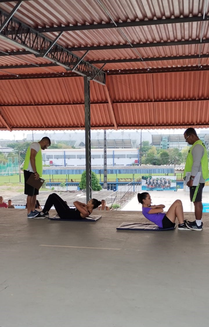 Divulgação