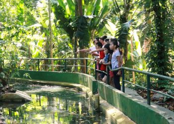 Foto: Eliana Nascimento