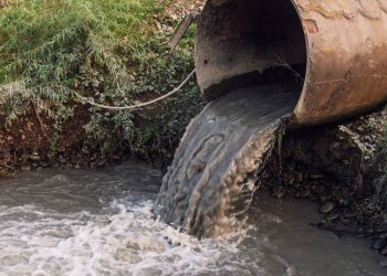 Foto: Reprodução / Internet