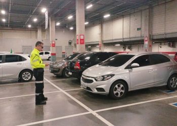 Foto: Divulgação / IMMU