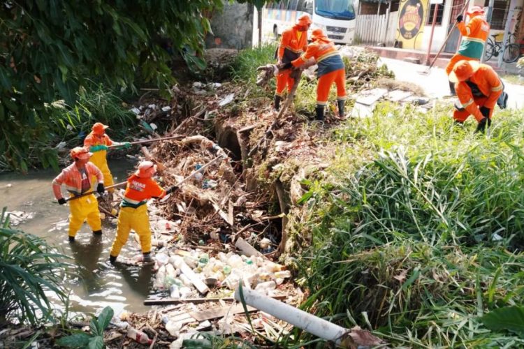 Foto: Divulgação / Semulsp