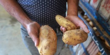 Com pequena baixa, Índice de Preços de Alimentos ficou em 135,9 pontos durante o período; medição mensal destaca Brasil pela queda do custo do açúcar e aumento dos valores do etanol - Foto: © FAO/Mohammed Nehro Al-Thalath