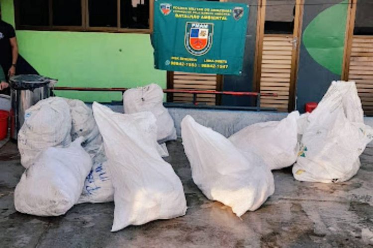 Foto: Divulgação/SSP-AM