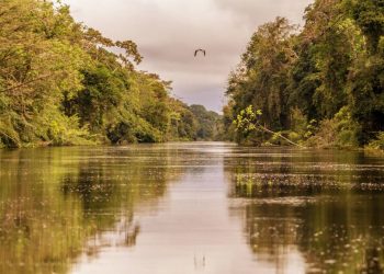 Foto: Divulgação/Sema