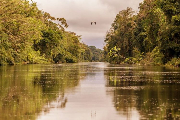 Foto: Divulgação/Sema