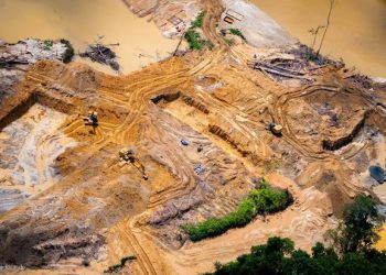 Garimpo na Amazonas Foto: Reprodução |Twitter@GreenpeaceBR