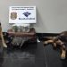 A droga foi encontrada pelo cão de faro Deco e Odin. — Foto: Divulgação/Receita Federal