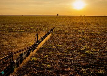 Foto: Wenderson Araujo