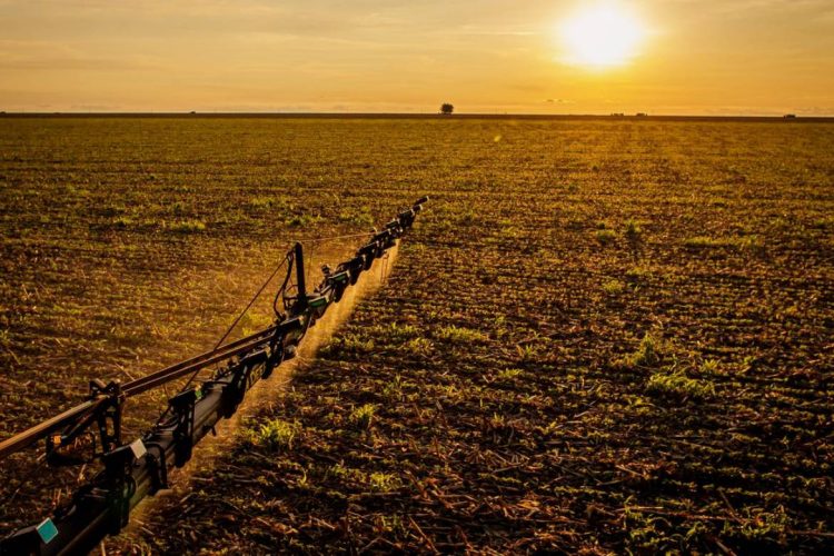 Foto: Wenderson Araujo