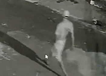 Foto: Divulgação / PC-AM