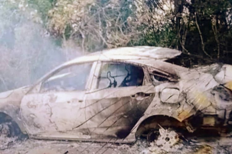 Foto: Reprodução / Internet