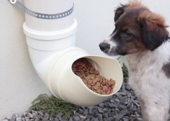 Foto: Reprodução / Internet