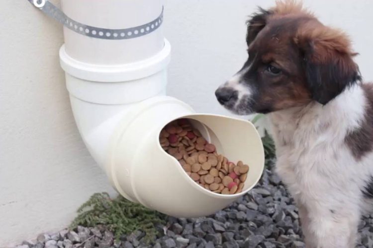 Foto: Reprodução / Internet