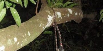 Imagem: Reprodução/ ilustrativa