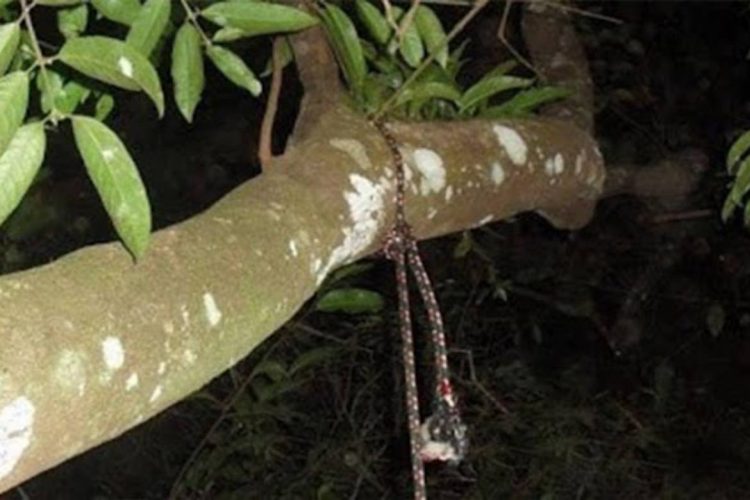 Imagem: Reprodução/ ilustrativa