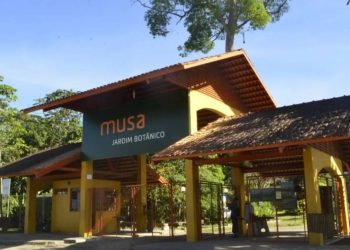 Foto: Franciele Cardoso/Musa