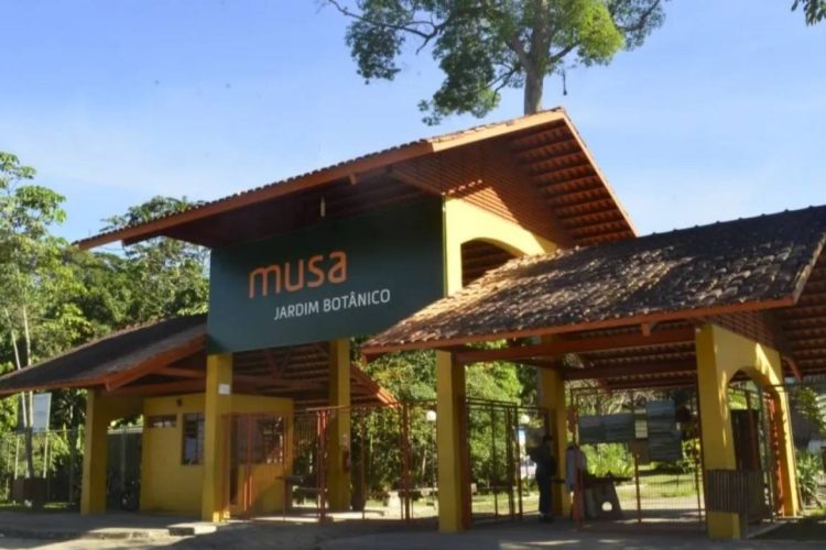 Foto: Franciele Cardoso/Musa