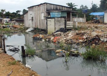 Foto: Reprodução / Internet