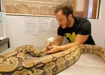 Foto: Instituto Vida Livre