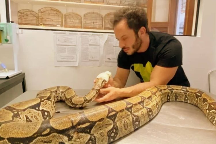 Foto: Instituto Vida Livre