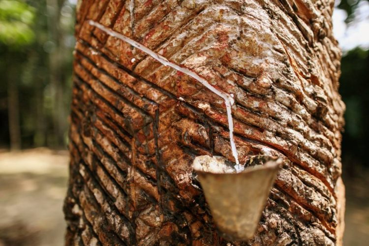 Foto: Michael Dantas/Secretaria de Estado de Cultura e Economia Criativa