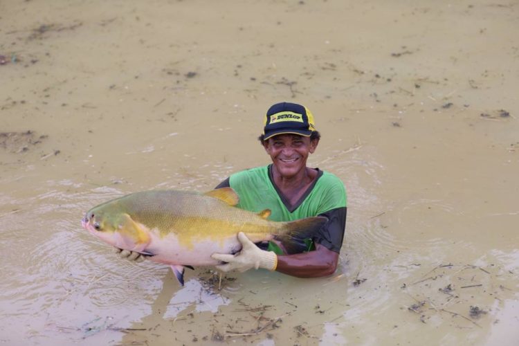 Foto: Divulgação/Sepror