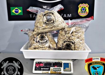 Foto: Divulgação / PF