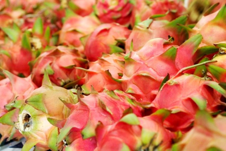 Foto: Ruth Jucá e Mônica Figueiredo/ADS e Divulgação