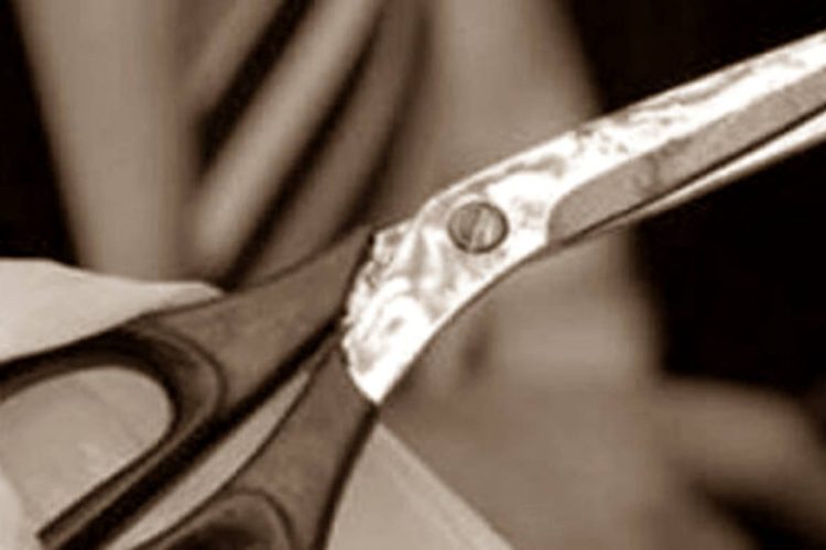 Imagem: Reprodução/ WhatsApp