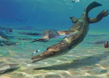 Foto: Divulgação/Júlia d’Oliveira