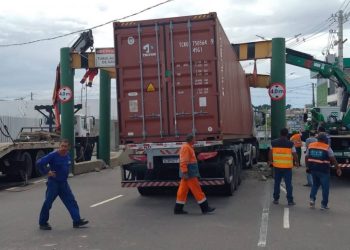 Foto: Divulgação / IMMU