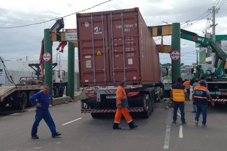 Foto: Divulgação / IMMU