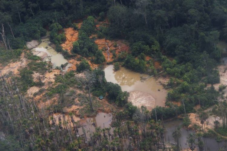 Foto: Fernando Frazão