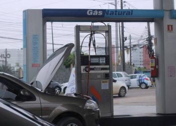 Foto de Laísa Maida/Cigás