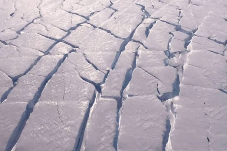 Foto:  Dr. Britney Schmidt / ITGC