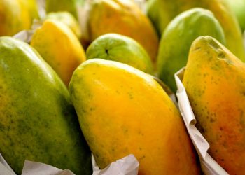 Foto: Reprodução / Agência Brasil