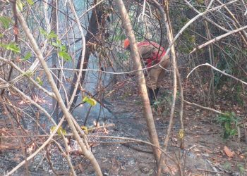 Foto: Arquivo/Corpo de Bombeiros de Goiás