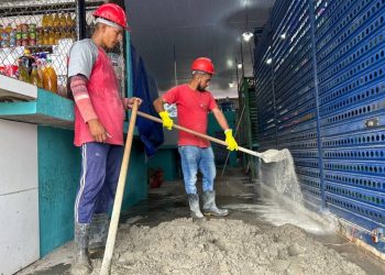 Foto: Gildo Smith / Semacc