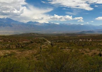 Grande parte da Argentina e países vizinhos vem enfrentando uma seca desde 2019 - Foto: ONU News/Laura Quiñones