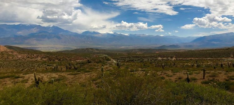 Grande parte da Argentina e países vizinhos vem enfrentando uma seca desde 2019 - Foto: ONU News/Laura Quiñones