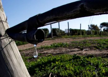 Foto: Rodrigo Garrido