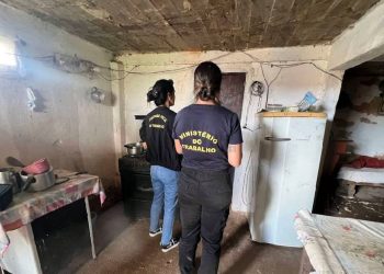 Foto: Ministério do Trabalho/Divulgação