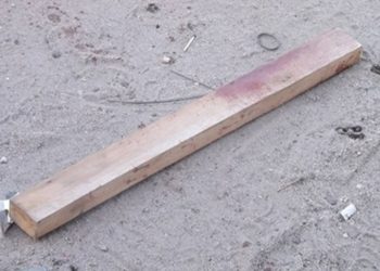 Ilustração / Pixabay