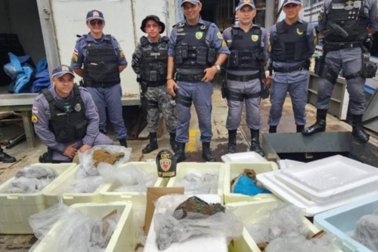 Foto: Divulgação / PMAM