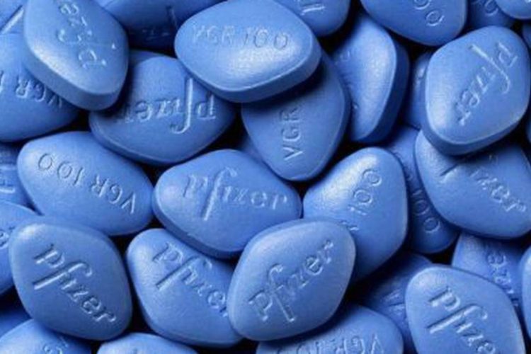 Foto: DIVULGAÇÃO / PFIZER