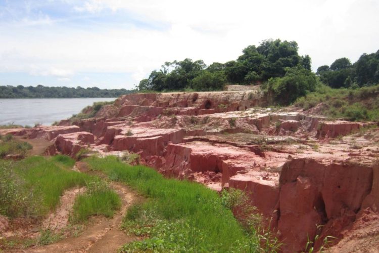 Foto: Érico Xavier - Decon/Fapeam e acervo pessoal do pesquisador João Cândido
