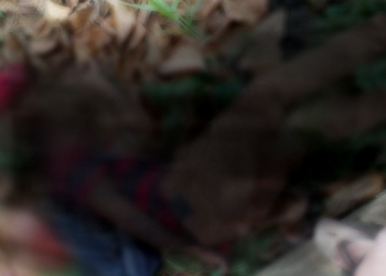 Reprodução | Internet