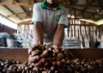 Foto: Marcelo Camargo/Agência Brasil